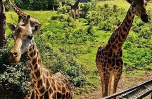 Haller Park Half-Day Tour from Mombasa