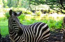 Haller Park Half-Day Tour from Mombasa