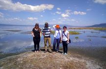 2-Day Flamingo Tour to Lakes Bogoria and Nakuru from Nairobi