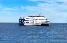 Unforgettable Day Tour in Colonia del Sacramento