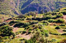 Tangier to Marrakech: Private 8-Days Tour Imperial Cities, Mountains & Desert