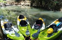 DG Tours - Full-Day Private Tour Experience