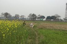 Full Day Lumbini Tour 