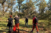 2 Hours Nature Walk in Chitwan National Park
