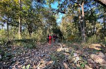 2 Hours Nature Walk in Chitwan National Park
