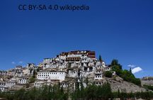 Leh Monastry Half Day Tour