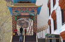 Leh Monastry Half Day Tour