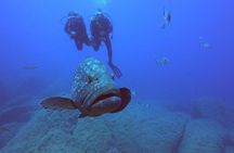 Scuba Diving in La Maddalena & Lavezzi Park for certified divers.