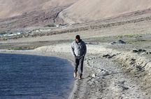 Pangong Lake Day tour from Leh