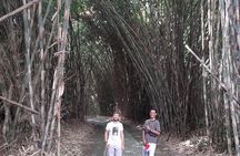 Instagram Saba Bali Tours