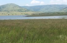 Pilanesberg Safari Day Tour