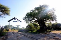 Tarangire National Park
