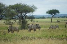Tarangire National Park