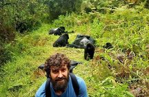 1 Day Gorilla Trekking Uganda