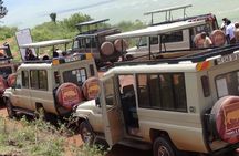Ngorongoro Crater Day Tour