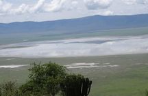 Ngorongoro Crater Day Tour