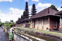 Best of Bali Water Temple and UNISCO Rice Terrace Trek