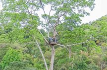 Zipline 18 Platforms and ATV Adventure Tour From Phuket