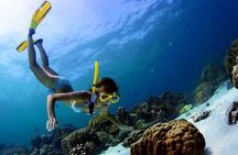 Sian Ka'an the green jewel, Biosphere Reserve Tour. Lunch & Snorkel included.