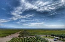 All Day, Small Group, Luxury Wine Tour with Gourmet Lunch