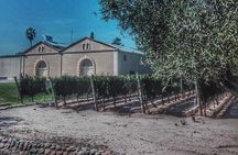 All Day, Small Group, Luxury Wine Tour with Gourmet Lunch