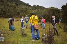 Sumapaz Páramo Private Hike Tour
