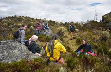 Sumapaz Páramo Private Hike Tour