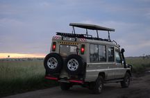 5 Days Tarangire ,Serengeti.Ngorongoro and Lake manyara