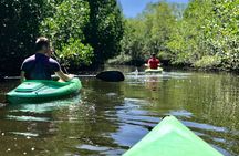 Kayak Private tour at Juan Venado Island