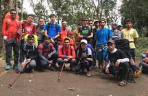Popular Rinjani Trekking Tour Service To Summit For 2 Days Via Sembalun Trail