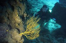 DISCOVER SCUBA DIVING - First step to your certification