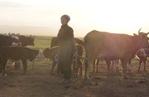 Authentic Mongolian two days tours in Terelj & Khustai National P