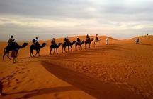 Desert Safari (Private Vehicle)