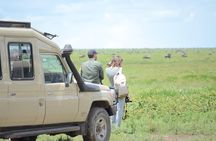 3 Days private safari Tarangire ,Ngorongroro crater &Manyara