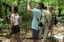 2 Nights in Drake Bay + Corcovado National Park