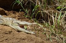 1 Night in Tortuguero + Tour to the Tortuguero National Park 