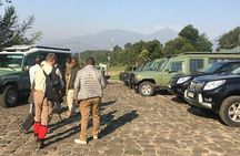 1 Day Gorilla Trekking Rwanda