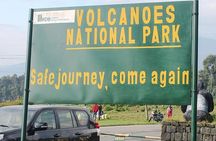 1 Day Gorilla Trekking Rwanda
