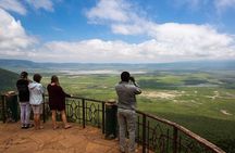 6Days Migration Safari