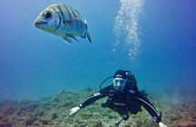 DISCOVER SCUBA DIVING - First step to your certification