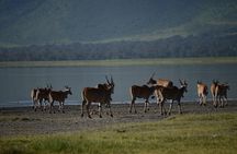 3 Days private safari Tarangire ,Ngorongroro crater &Manyara
