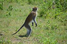 3 Days private safari Tarangire ,Ngorongroro crater &Manyara