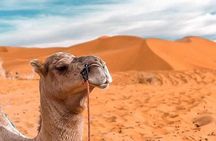  3D/2N Private Desert tour from Marrakech to Marrakech 