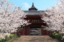 Nanjing private day tour with Xuanwu Lake, Niushoushan & Confucian Temple Area