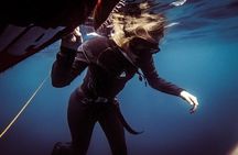 Discovery Freediving Program
