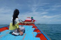 Private Half Day Trip to Pig Island and Koh Tan by Long Tail Boat