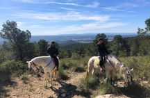 Horseback riding and wine tour (private tour)