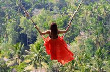 Jungle Swing - Volcano - Water Temple - Monkey Forest and Waterfall Tour