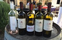 Chania Shore Excursion Off Road Vineyard and Winery Tour Half Day