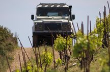 Chania Shore Excursion Off Road Vineyard and Winery Tour Half Day
